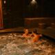 SPA VILNIUS Druskininkai, Druskininkai (fotografie 10)