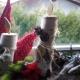 Ferienhaus Bergfreund, Mittenwald - Foto 5