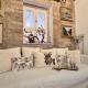 Maximos Apartment in Corfu Old Town