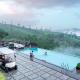 Elysian Vale, Vagamon