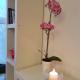 Rotermanni Guest Apartments, Tallinn (photo 8)