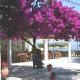 Imerolia Studios, Kassiopi (photo 7)