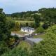 The Forest at Mount Congreve Gardens, Kilmeaden (fotografie 5)