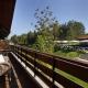 Esterra Vini Guest House, Perushtitsa (zdjęcie 8)