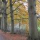 Het Findament Tiny house, Hilversum (foto 7)