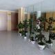 Apartment only 250m from the beach Los Locos, Torrevieja - Photo 4