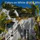 Colors on White, Key West - Fotografie 8