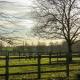 Appletree Cottage Fressingfield, Fressingfield (fotografie 6)