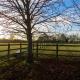 Appletree Cottage Fressingfield, Fressingfield (fotografie 9)