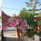 Kastro Apartments, Panormos (foto 8)