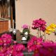 Apartments Palma, Rovigno (Rovinj) (foto 9)