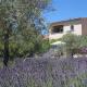 Clos des Lavandes - Chambres et Suites de charme climatisées-Luberon, Lacoste