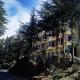 The Woodstock Resort, Kīar - Foto 4