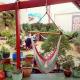 Bazil's Backpackers BBH Hostel & Surf School
