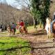 Cabañas Ecoparque Marín, Marín (fotografie 4)