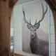 Chalet Le Grand Cerf, Bullange - Fotografie 1