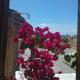 Apartamentos Martell, Playa de Santiago (fotografie 9)