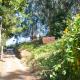 Cuevas De Barreto, Firgas (foto 10)