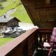 Gasperlerhof, Neustift im Stubaital (foto 2)