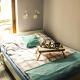 Apartament Justyna, Stegna (zdjęcie 8)