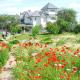 Maison Blanche Ecohousе, Mytnitsa