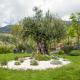 B&B Al Colle, Pescosolido (Foto 2)