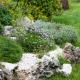 B&B Al Colle, Pescosolido (Foto 8)