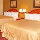 Quality Inn & Suites CVG Airport, Erlanger (photo 5)