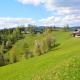 Frühstückspension Ochnerbauer, Kindberg (fotografie 3)