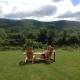 Cajun Cedar Log Cottages, Margaree Forks (fotografie 5)
