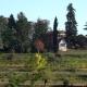 Casali del Picchio - Winery, Cividale del Friuli