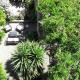 Back to Sorrento, Sant'Agnello (fotografie 3)