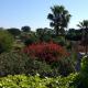 Masseria Serine, Leuca (foto 10)
