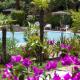 Le Cottage - Hotel & Spa Argelès-sur-Mer - Fotografie 7