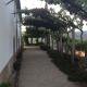 Quinta da Calçada, Melgaço (photo 9)