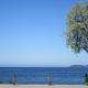 Oceanside Villas, Sechelt (foto 10)