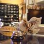 Hotels - Paralia, Hotel Ilion