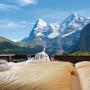 Szállodák - Mürren, Eiger Mürren Swiss Quality Hotel