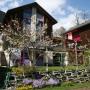 Panziók - Airolo, B&B Gottardo