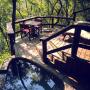 Chaty v prírode - Hazyview, Tanamera Lodge