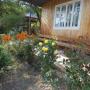 Lodges - Verkhovyna, U Vasiliny