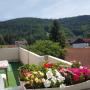 Apartmány - Bad Herrenalb, Penthouse Rosa