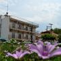 Отели - Олимпиада, Megas Alexandros Hotel
