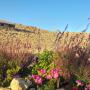 Hostely - Micpe Ramon, Succah in the Desert
