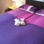 Apartments - Kopaonik, KOP Centar Aviator