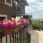 Apartmanok - Adler, Apartment Aria