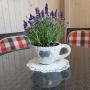 Ferienwohnungen - Bled, Apartmaji Sušnik