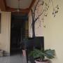 Hotels - Santa Rosa de Copán, Hotel Escalon