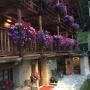 Vendégházak - Gressoney-la-Trinité, Wongade