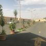 Vily - Táif, Morgan Al Taif Resort